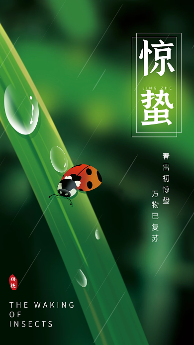 简约惊蛰摄影图节日海报