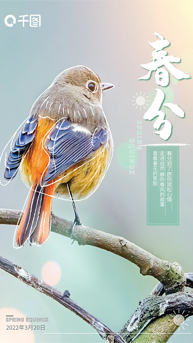 传统二十四节气之春分海报