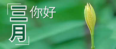 公众号封面三月你好