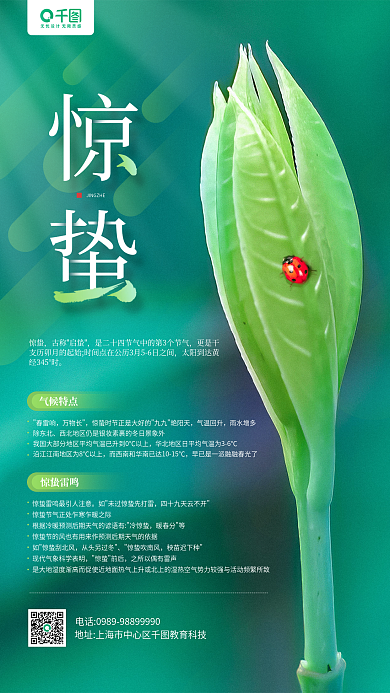 惊蛰节气介绍绿色植物手机海报