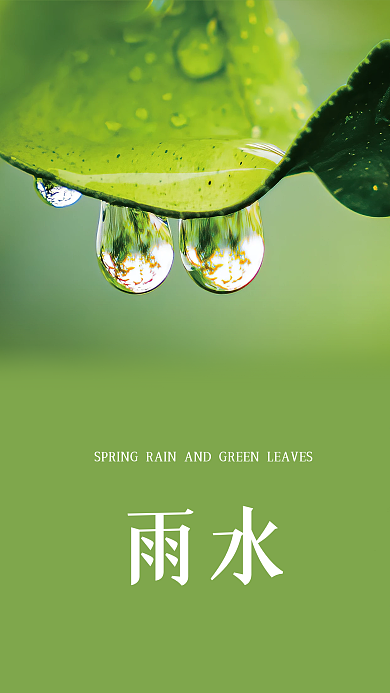 简约唯美绿色简约二十四节气雨水海报