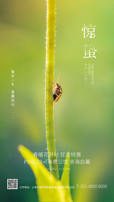 地产家居惊蛰节气海报