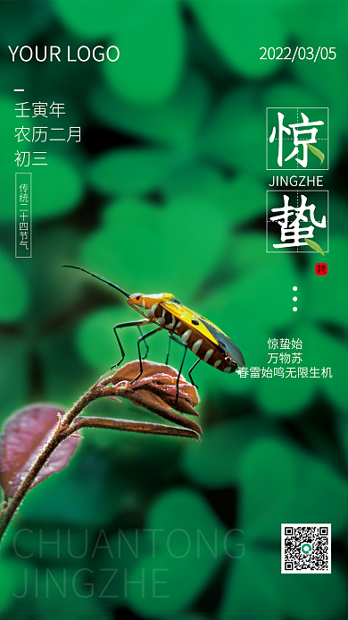 小清新简约传统节气惊蛰节日海报