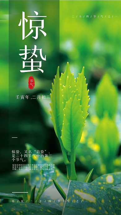 春天发芽传统二十四节气惊蛰