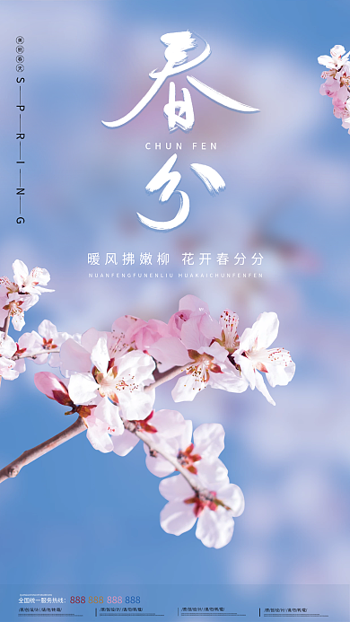 简约春分节气摄影图海报