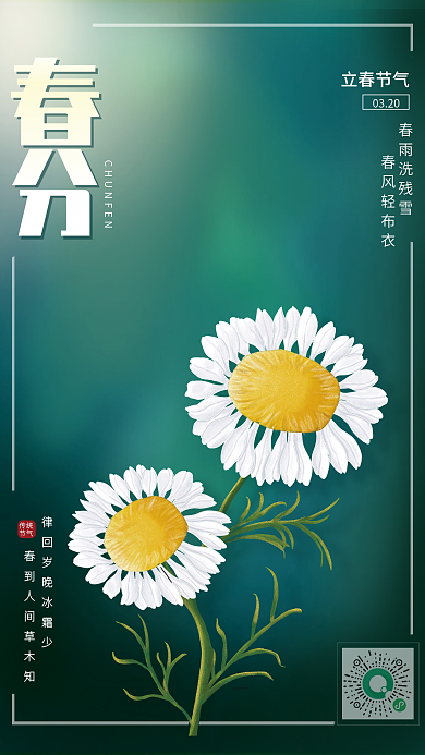 原创手绘插画小雏菊二十四节气春分