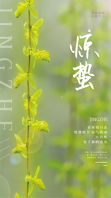 中国传统二十四节气惊蛰绿色宣传海报