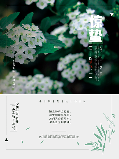 二十四节气惊蛰海报绿色叶子春天海报