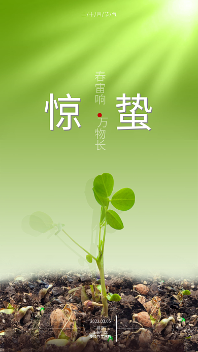 简约二十四节气惊蛰节日海报