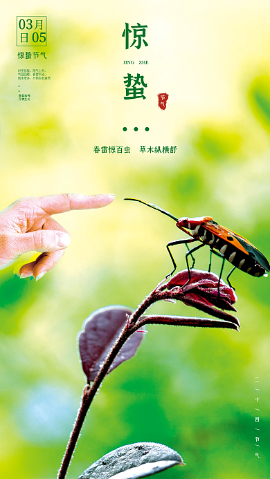 绿色清新互动昆虫文艺传统节气海报