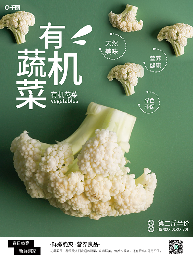 绿色有机蔬菜销售海报