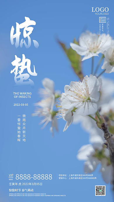 中国传统二十四节气惊蛰留白小清新手机海报