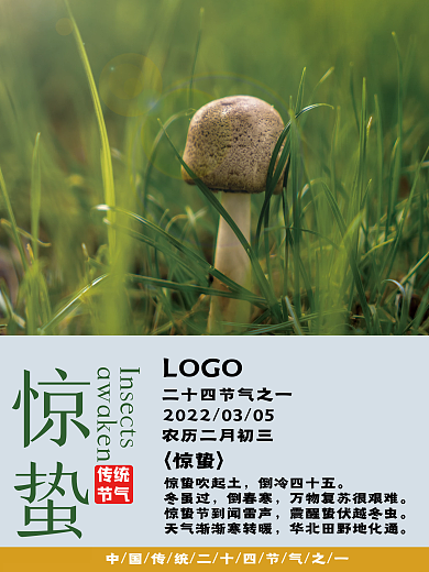 二十四节气惊蛰海报