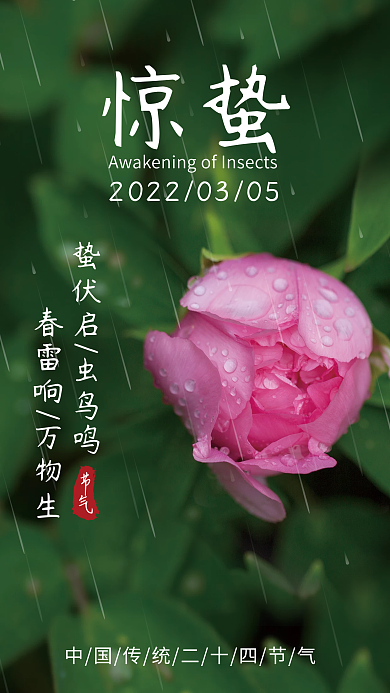 简约小清新绿色二十四节气惊蛰商务海报