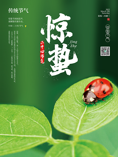 简约传统二十四节气惊蛰摄影海报