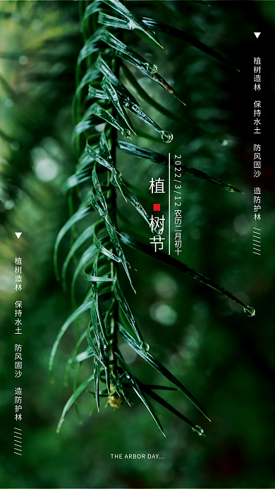 简约清新的植树节