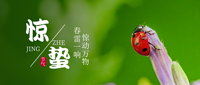 简约文艺清新节气惊蛰公众号图片