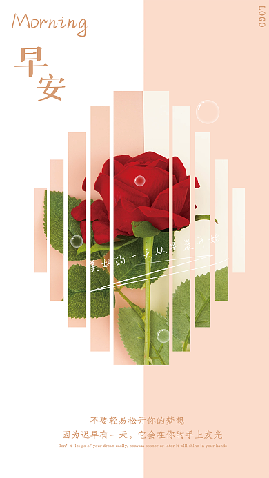 小清新简约红玫瑰花早安海报