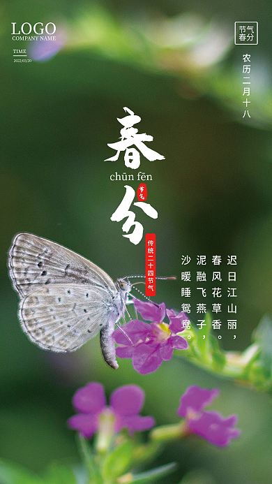 二十四节气春分海报