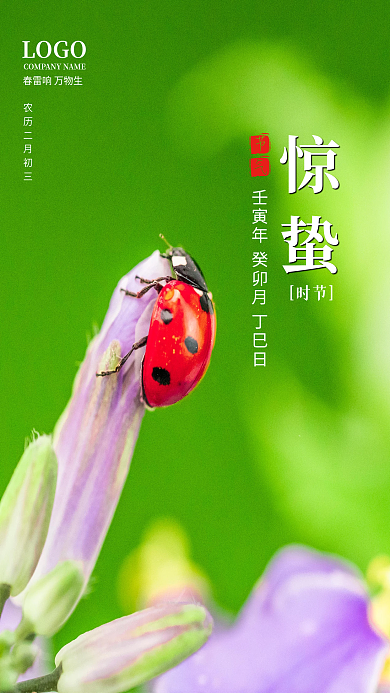简约大气摄影合成节气惊蛰海报