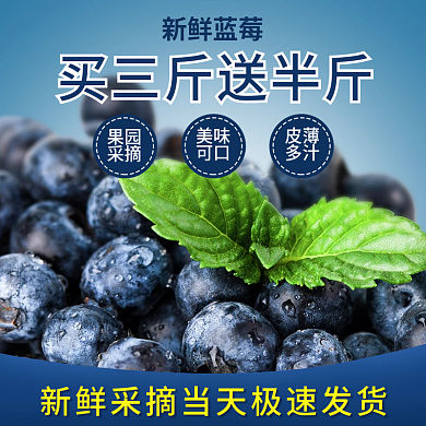 食品水果蓝莓直通车主图