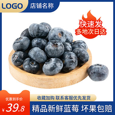电商主图美食水果蓝莓直通车图促销简约