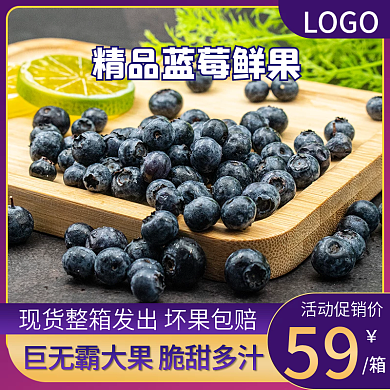 精品蓝莓主图直通车