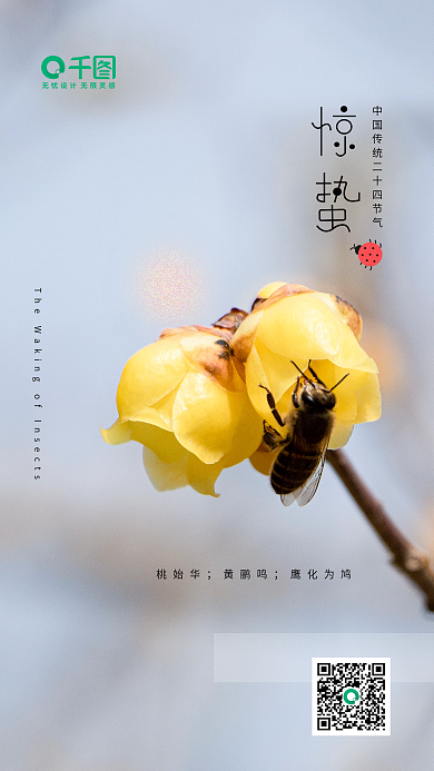 简约二十四节气春天惊蛰节气海报