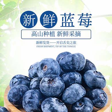 创意水果蓝莓主图设计