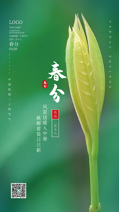 中国传统二十四节气春分海报