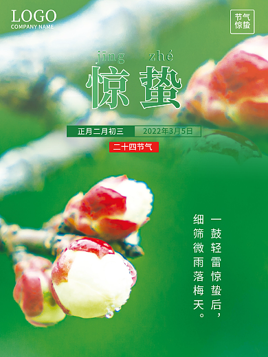 简约二十四节气惊蛰