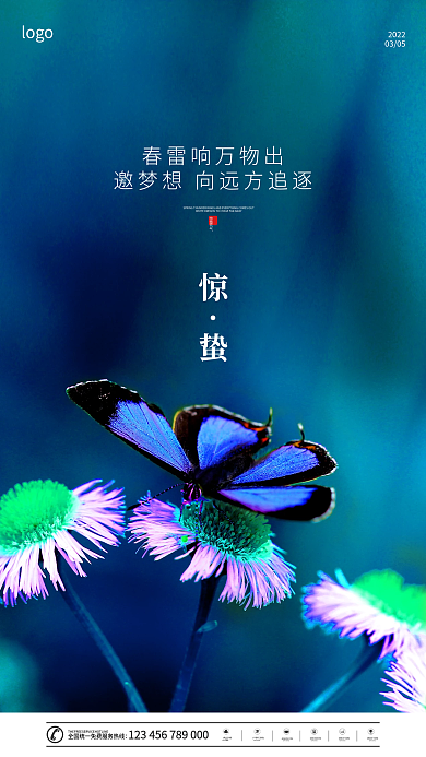 中国传统二十四节气惊蛰节气蝴蝶春天海报
