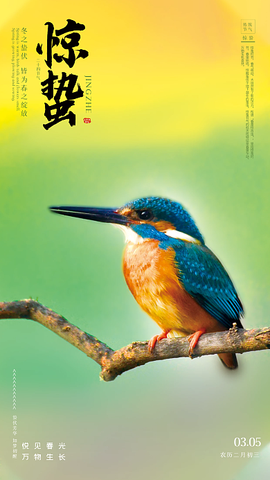 春天小鸟传统二十四节气惊蛰海报