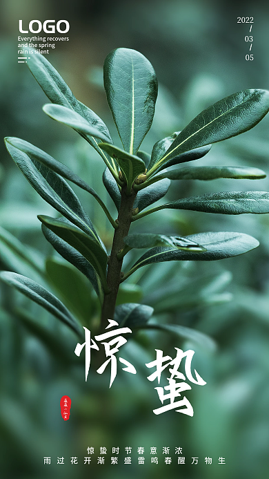 简约绿色植物简约新媒体惊蛰长图宣传海报