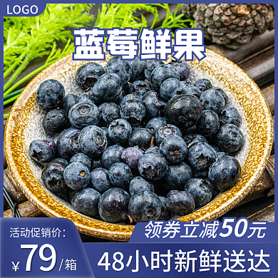 食品水果蓝莓主图直通车