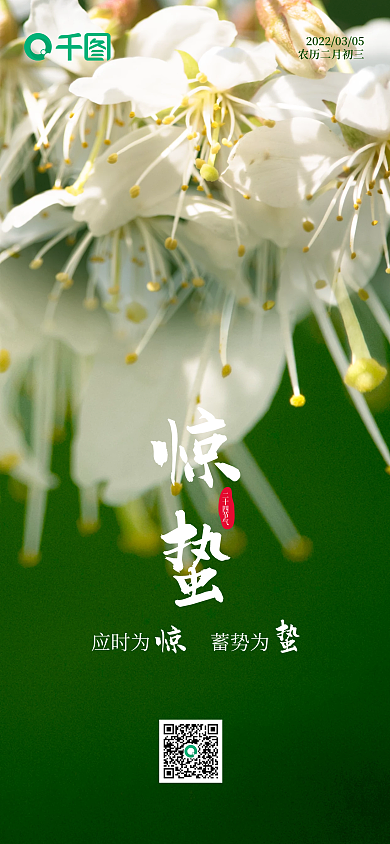 樱花白绿二十四节气惊蛰手机海报
