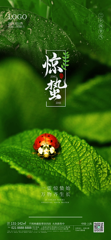 大气传统节气惊蛰海报