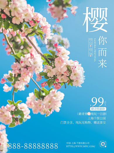 樱花节看樱花旅游海报