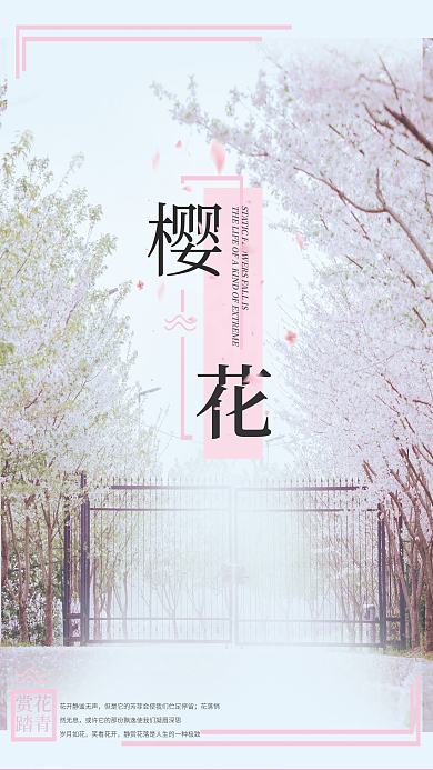 春季春游赏花樱花踏青简约摄影图旅游海报