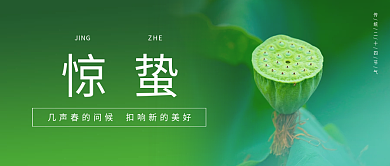 24节气惊蛰谷雨绿色小清新公众号封面