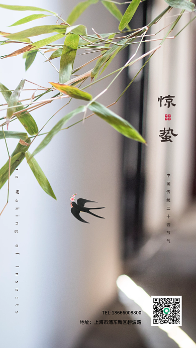 摄影图简约二十四节气春天惊蛰节气海报