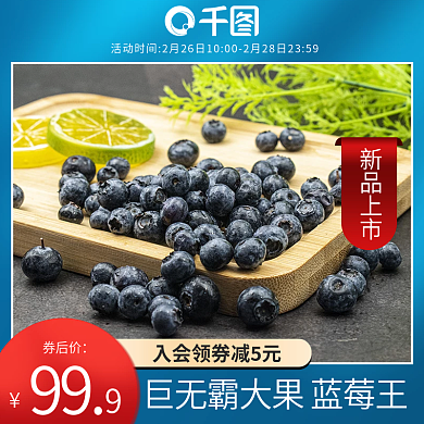 食品水果蓝莓直通车主图