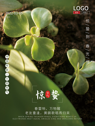 绿色传统节气惊蛰海报