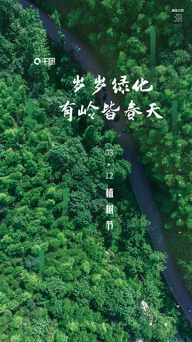 简约大气312植树节公益宣传海报