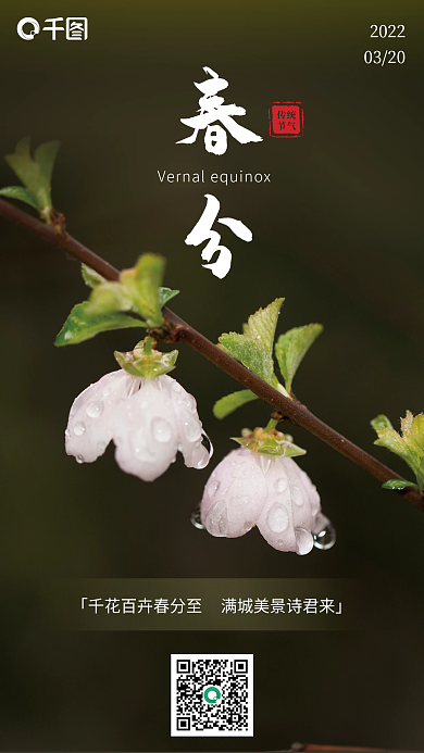 24二十四节气春分传统惊蛰鲜花手机运海报