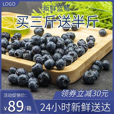 食品水果蓝莓直通车主图