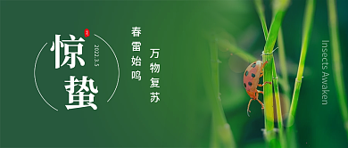 惊蛰谷雨24节气唯美公众号首图