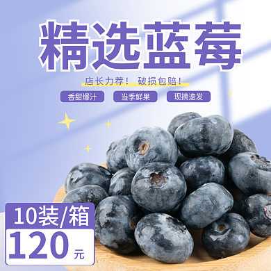 蓝莓水果直通车主图