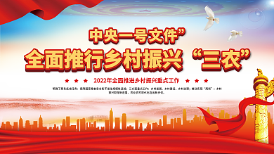 中央一号文件乡村振兴三农工作