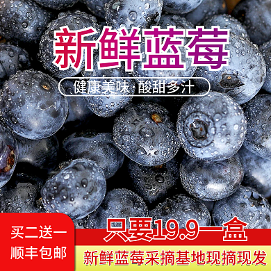 食品水果蓝莓直通车主图